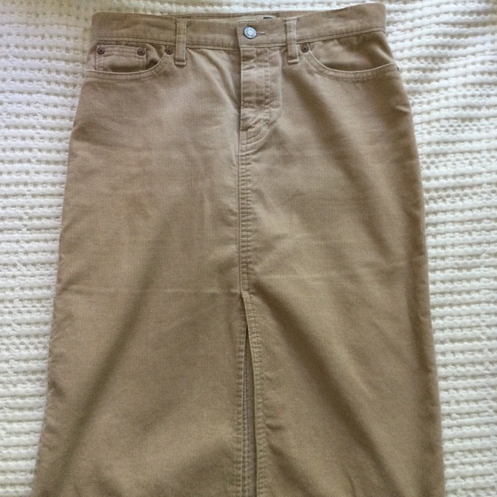 Gap Skirt